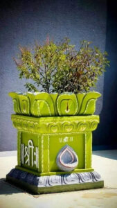 ज्योतिषशास्त्रातील तुळसीचे महत्त्व